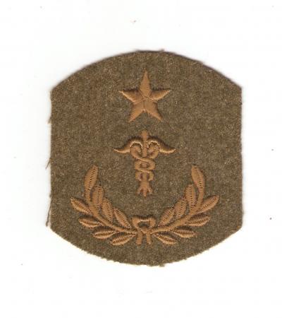 WWI Medical Master Hospital Sergeant Rank Chevron