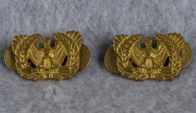 WWII Warrant Officer Insignia 