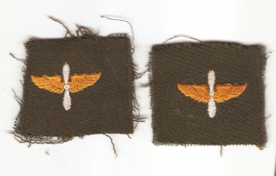 WWII AAF Officer Winged Prop Collar Insignia Pair