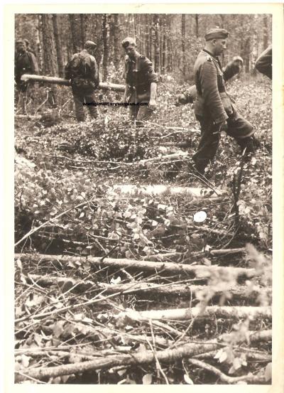 WWII German Photo SS Men in the Field