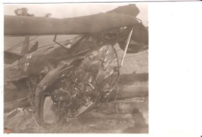 WWII era Downed German Aircraft