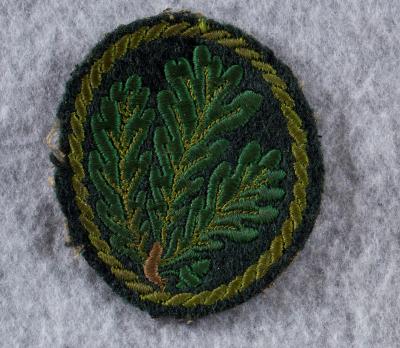 WWII Jager Sleeve Badge Patch
