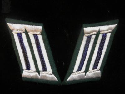 WWII German Medical Officer Collar Tabs