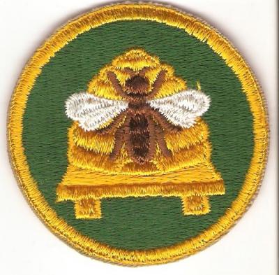 US Army Utah National Guard Patch