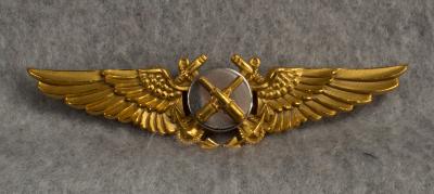 Navy USN Tactical Observer Wing Badge