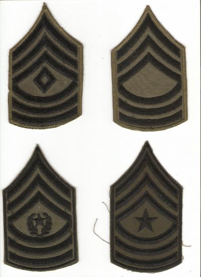 Vietnam Era Rank Lot