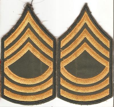 Vietnam Master Sergeant Rank Insignia