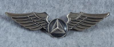 Civil Air Patrol CAP Pilot Wings