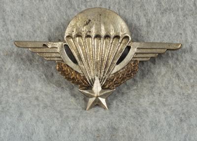 French Paratrooper Jump Wings Theater Made