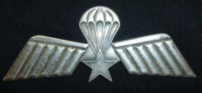 Dutch Paratrooper Jump Wing