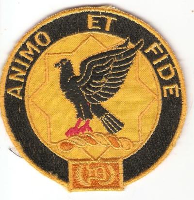 US Army 1st Cavalry Regiment Patch