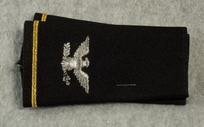 US Army Shoulder Epaulets Colonel Male 