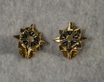 Army Intelligence Officers Collar Insignia Pair