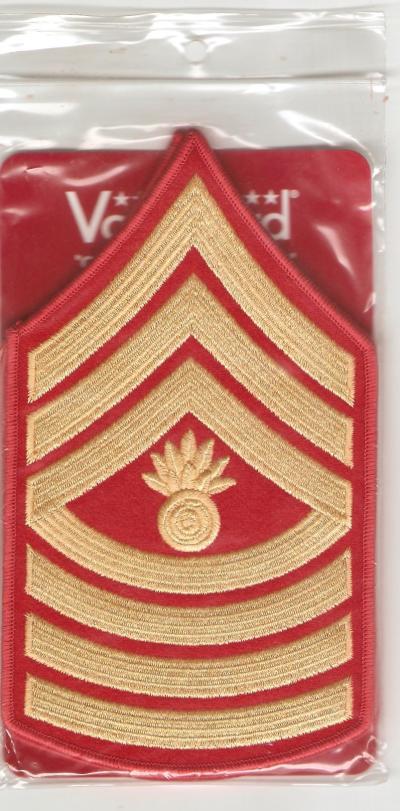 USMC Marine Master Gunnery Sergeant Male New