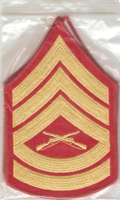 USMC Marine Gunnery Sergeant Rank Male New