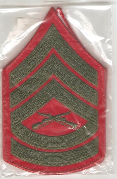 USMC Marine Gunnery Sergeant Rank Male New