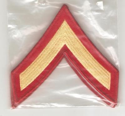 USMC Marine Private Rank Pair Female New