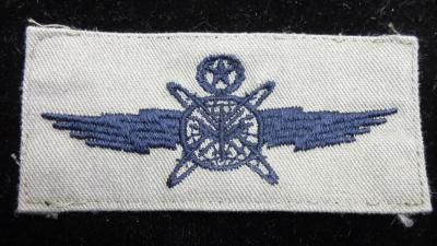 USAF Master Cyberspace Operator Badge