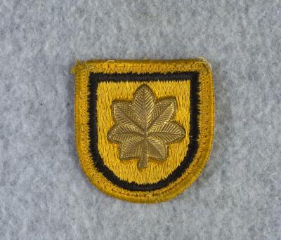Patch Flash 1st Special Forces Group Major