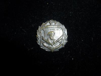 Don Winslow Squadron of Peace Pin