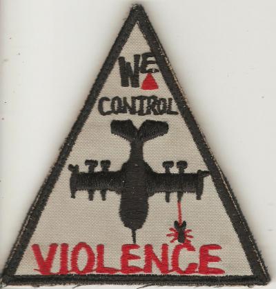 USAF Patch 19th Tactical Air Support Squadron