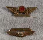 Airline and Stewardess Badges Northwest Orient