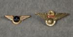 Junior Pilot Badges Wings Delta TWA