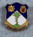 DI Unit Crest 134th Cavalry Regiment DUI
