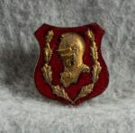 DUI DI Crest WWII 1st Medical Group