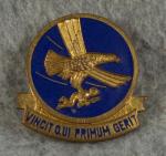 DUI DI Troop Carrier Command Pin 