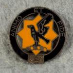DUI DI Crest 1st Cavalry Regiment Pin Sterling