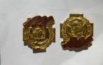 Army Reserve Medical Command Crest Pair
