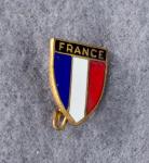 WWII France French War Aid Pin Drago