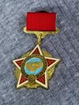 Russian Soviet era Afghan War Service Badge