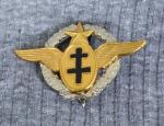 WWII era Free French Pilot Wing Badge Reproduction