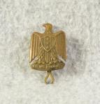 Iraq Iraqi Armed Forces Beret Cap Insignia