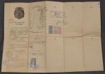 Belgian Passport 1920 