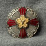 Japanese Firefighter Merit Badge 