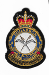 Australian Air Force 11th Squadron Patch