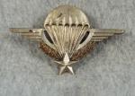 French Paratrooper Jump Wings Theater Made