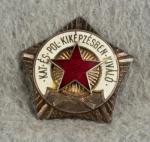 Hungarian Police Honor Badge