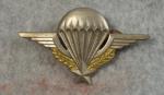 French Paratrooper Jump Wing Badge