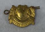 Irish Army Cavalry Collar Badge