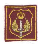 Jordanian Special Forces Sleeve Patch