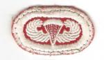 Paratrooper 307th Airborne Engineer Battalion Oval