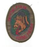 USAF 36th Tactical Fighter Squadron Patch