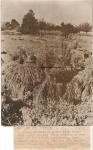 WWII German Press Photo Soldier in French Hayfield
