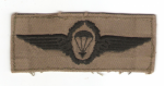 German Paratrooper Parachutist Jump Wings Badge