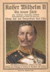 Kaiser Wilhelm II Ein Treuer Furst 1913 Book