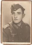 WWII German Soldier Portrait Photo Picture Large